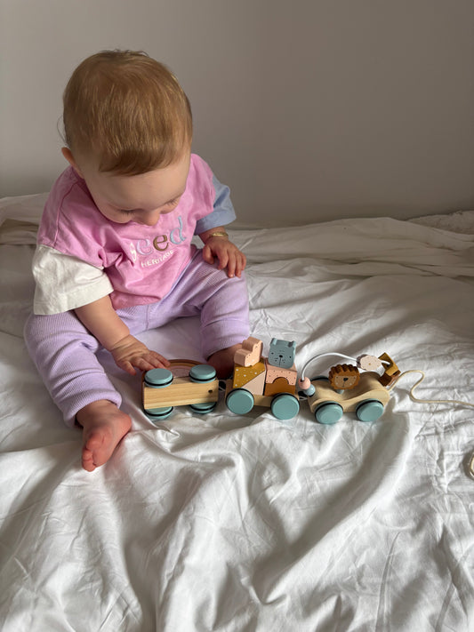 Wooden Stacking Train