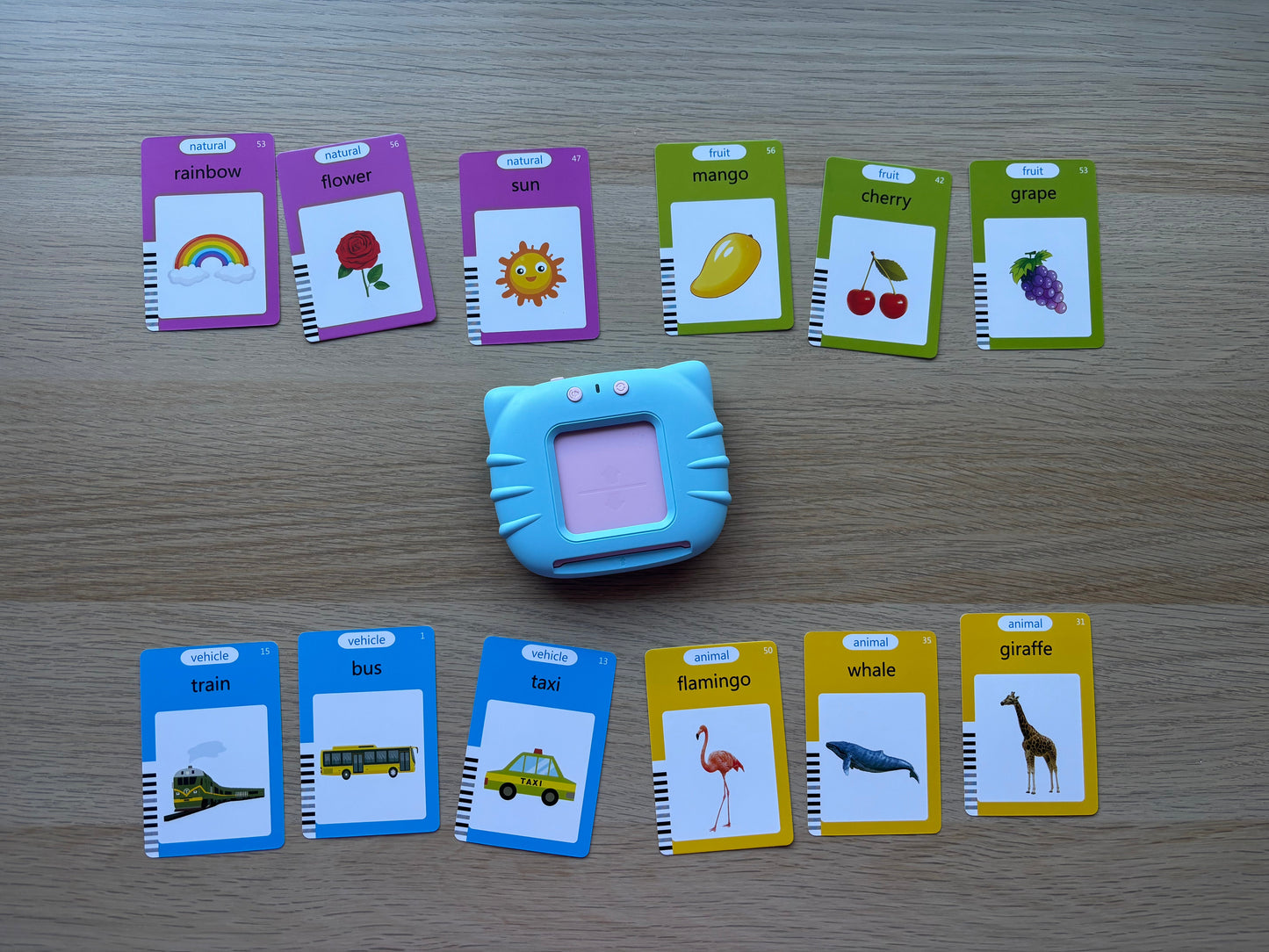 Audio Flash Cards